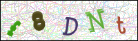 Bestätigung